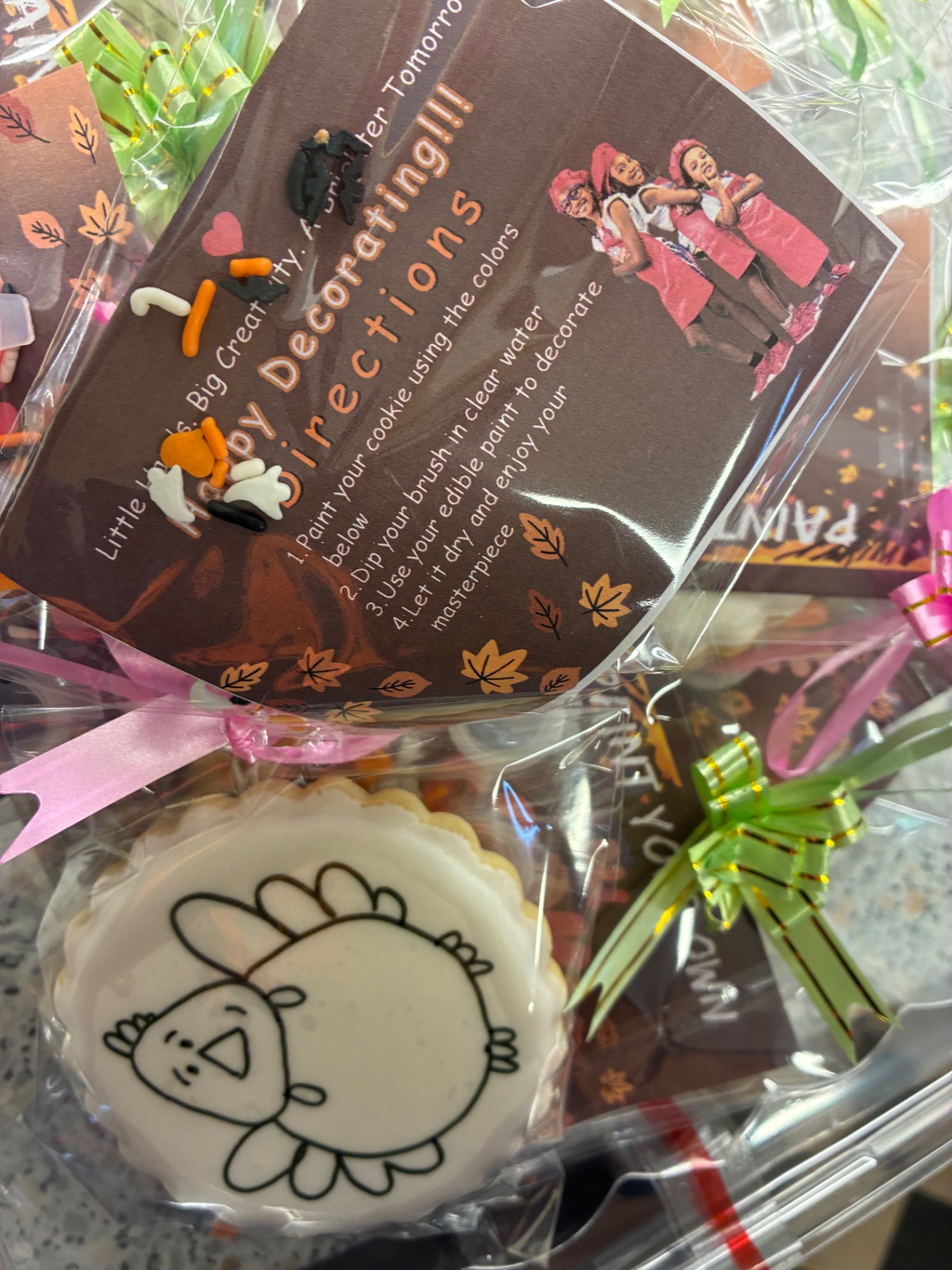 Paint Your Own Cookie decorating instructions and cookie